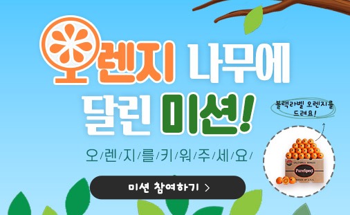 팝업500.jpg